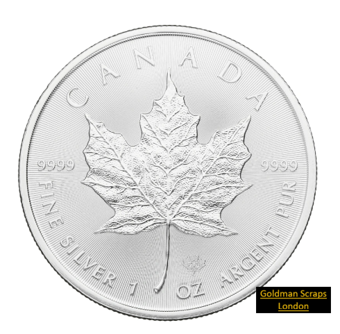 2020 Canadian Silver Maple Leaf Coin 1oz